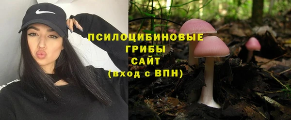 мет Каменск-Шахтинский