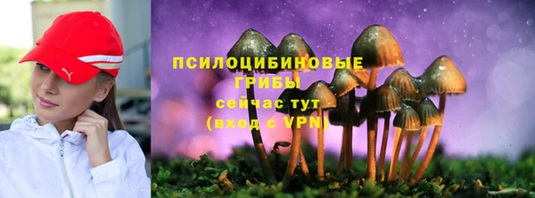 марки lsd Каменка