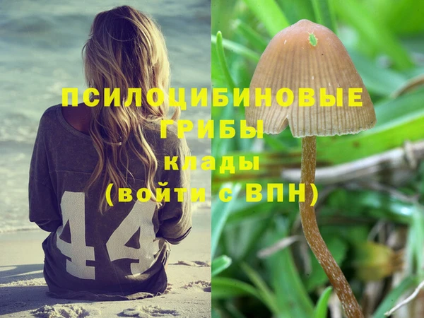 марки lsd Каменка