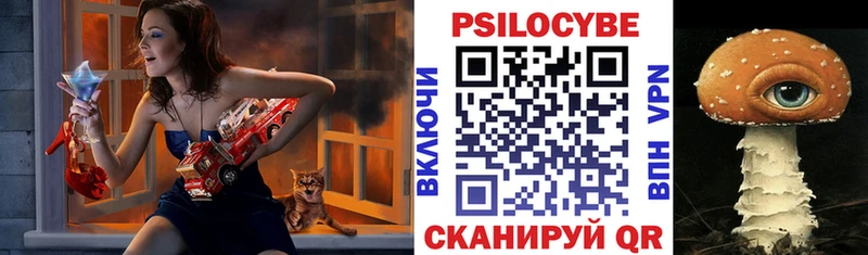 Галлюциногенные грибы мицелий  Купить  Альметьевск 
